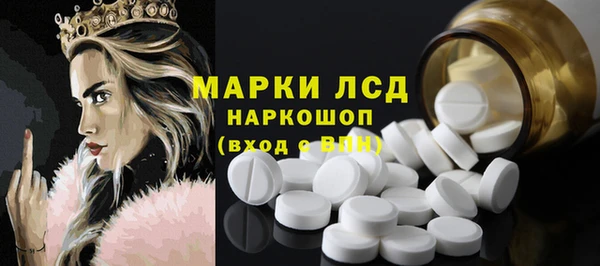 прущие грибы Вяземский