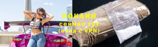 прущие грибы Вяземский
