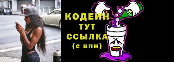 прущие грибы Вяземский