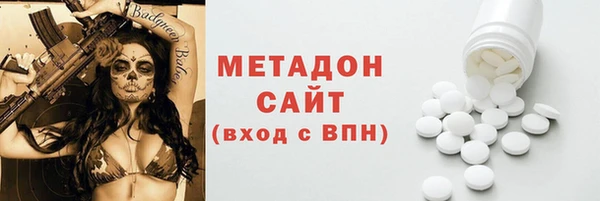 прущие грибы Вяземский