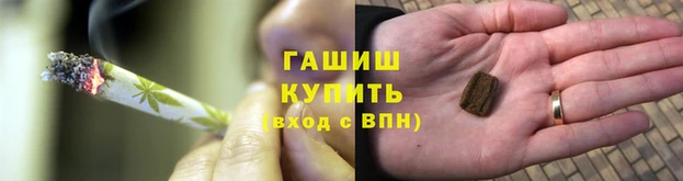 прущие грибы Вяземский