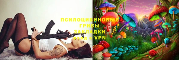 прущие грибы Вяземский