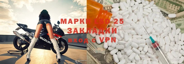 прущие грибы Вяземский